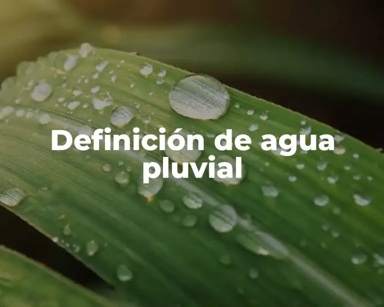 Definición de agua pluvial