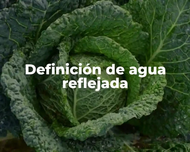 Definición de agua reflejada