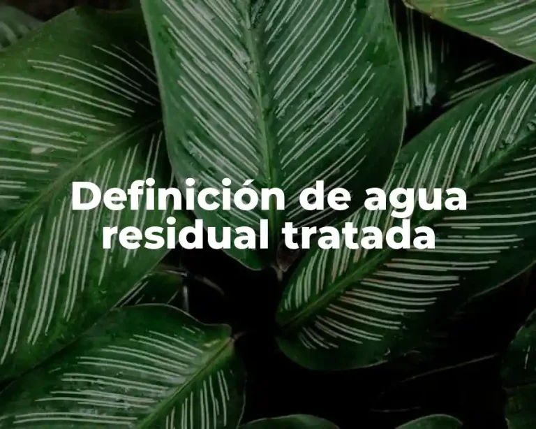 Definición de agua residual tratada