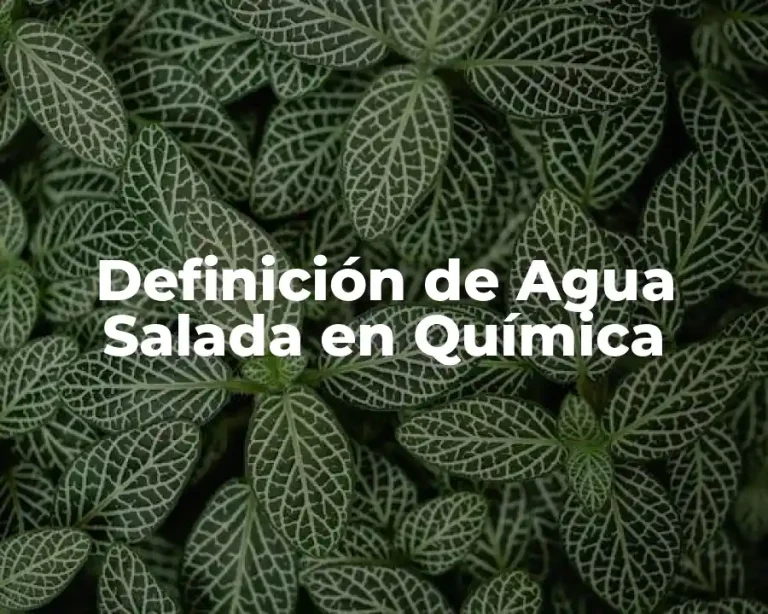 Definición de Agua Salada en Química