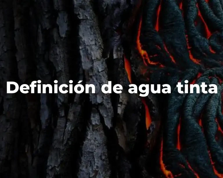 Definición de agua tinta