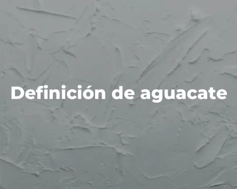 Definición de aguacate