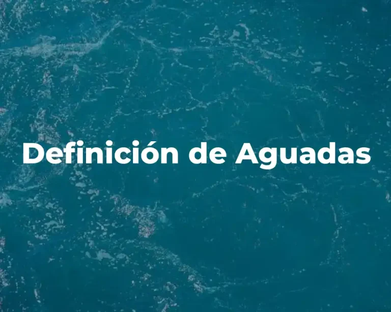 Definición de Aguadas