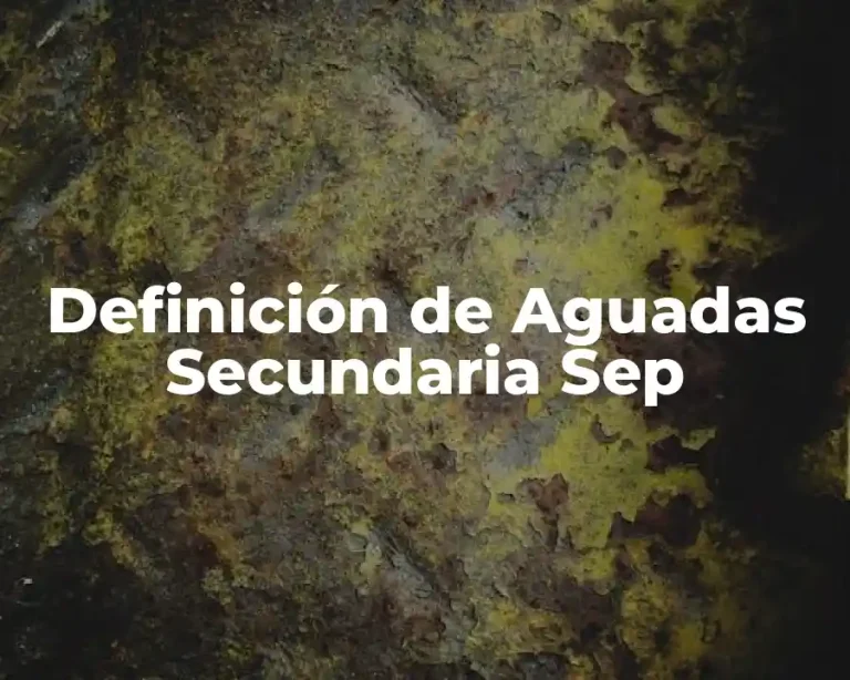 Definición de Aguadas Secundaria Sep