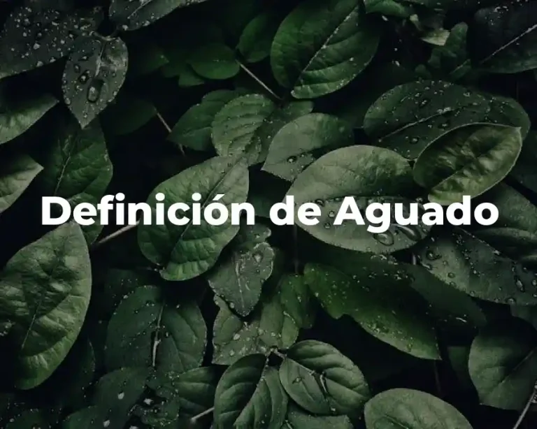 Definición de Aguado