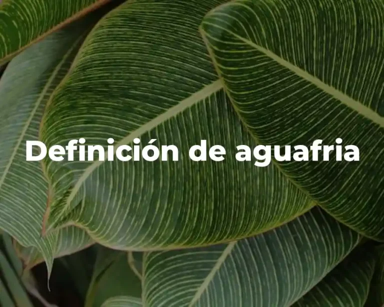 Definición de aguafria