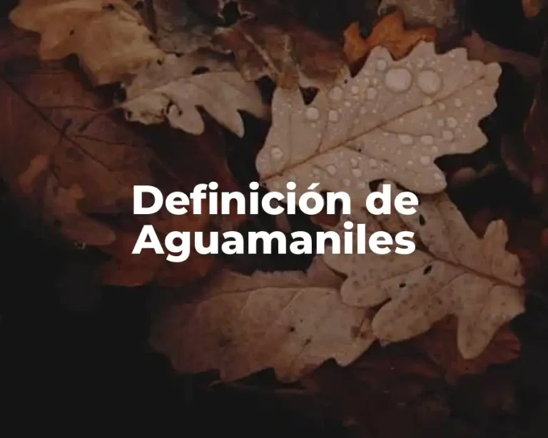 Definición de Aguamaniles