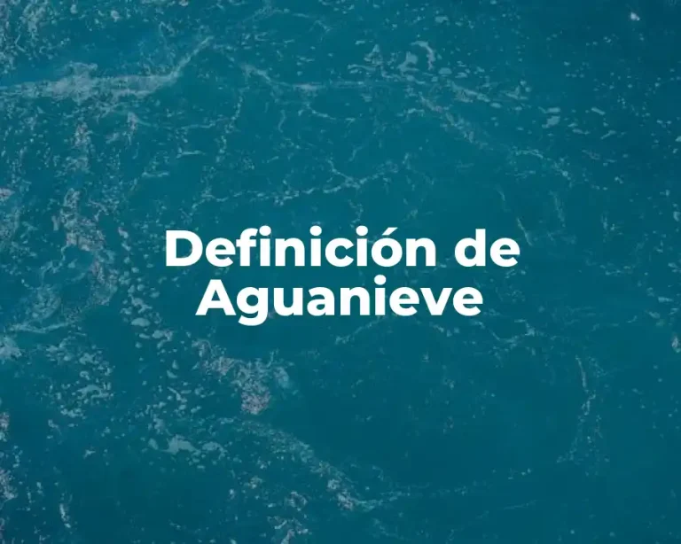 Definición de Aguanieve