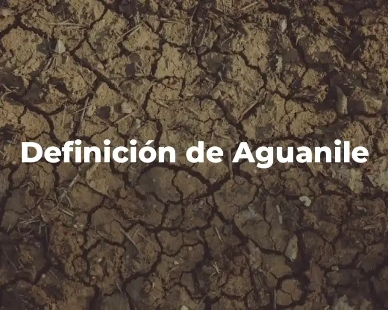 Definición de Aguanile
