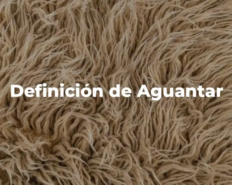 Definición de Aguantar