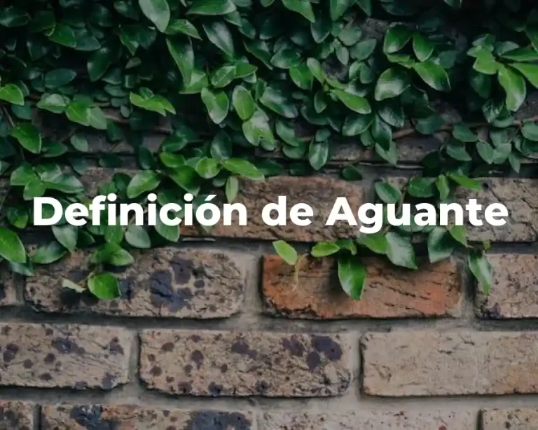 Definición de Aguante