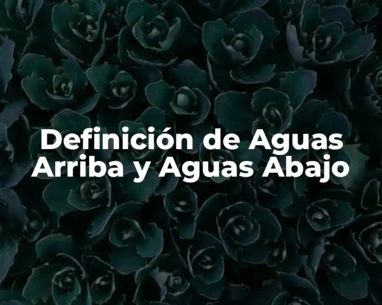 Definición de Aguas Arriba y Aguas Abajo