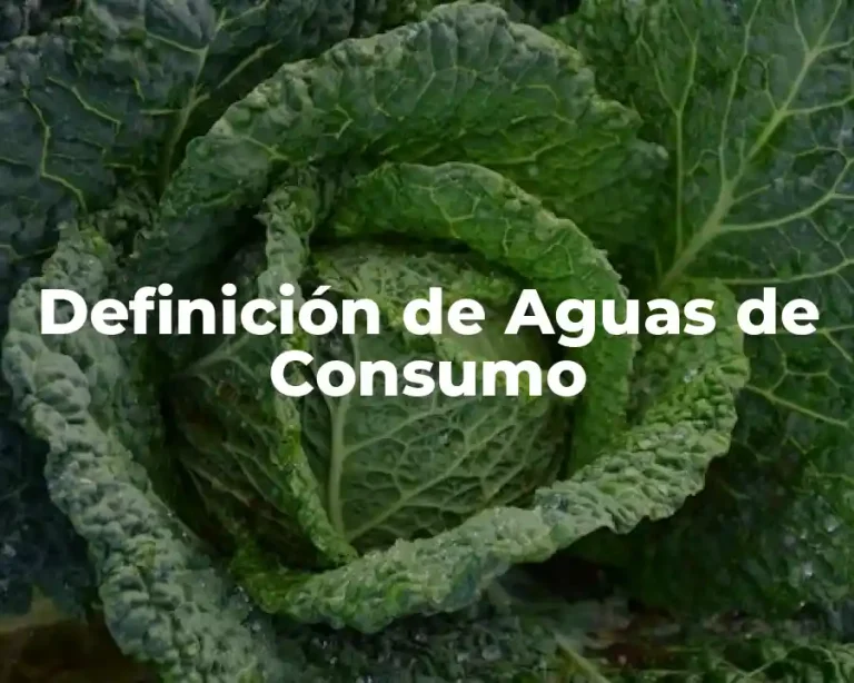 Definición de Aguas de Consumo