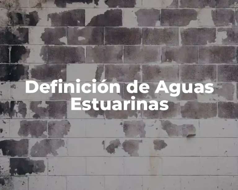 Definición de Aguas Estuarinas