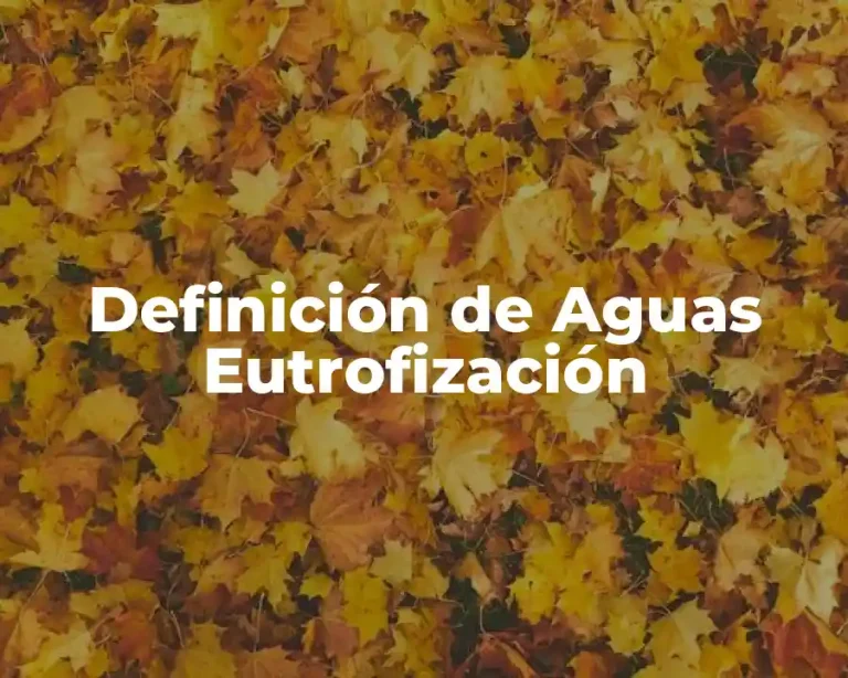 Definición de Aguas Eutrofización
