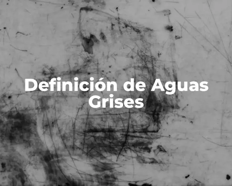 Definición de Aguas Grises