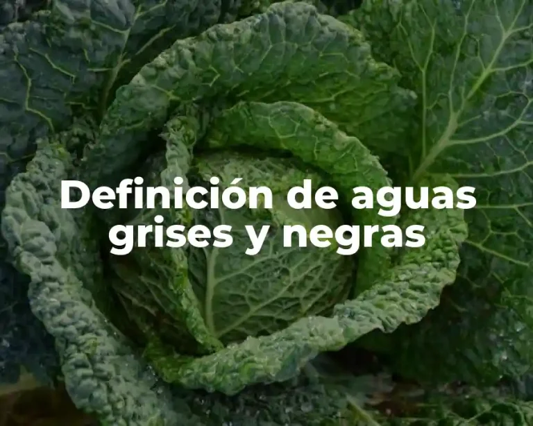 Definición de aguas grises y negras