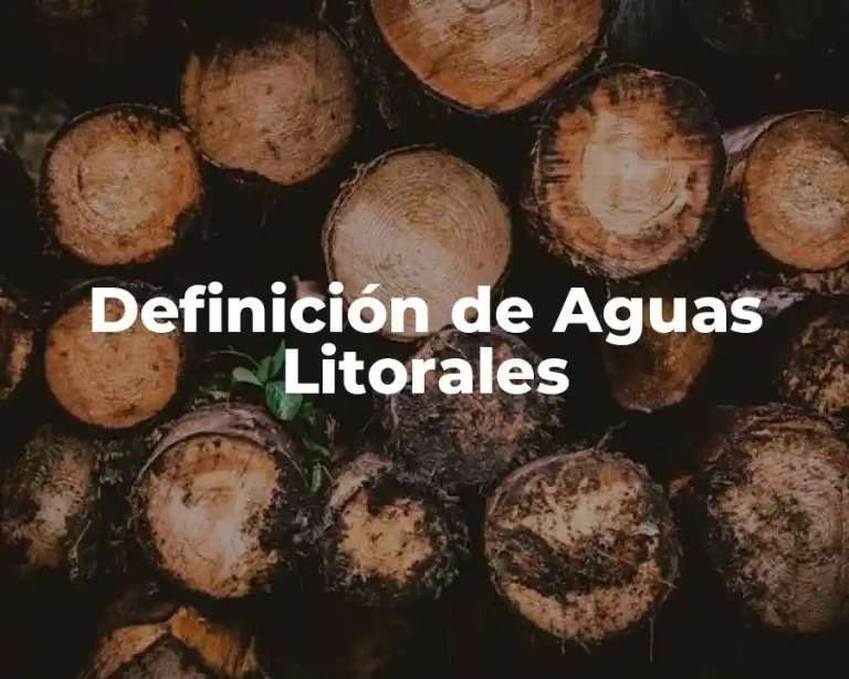 Definición de Aguas Litorales
