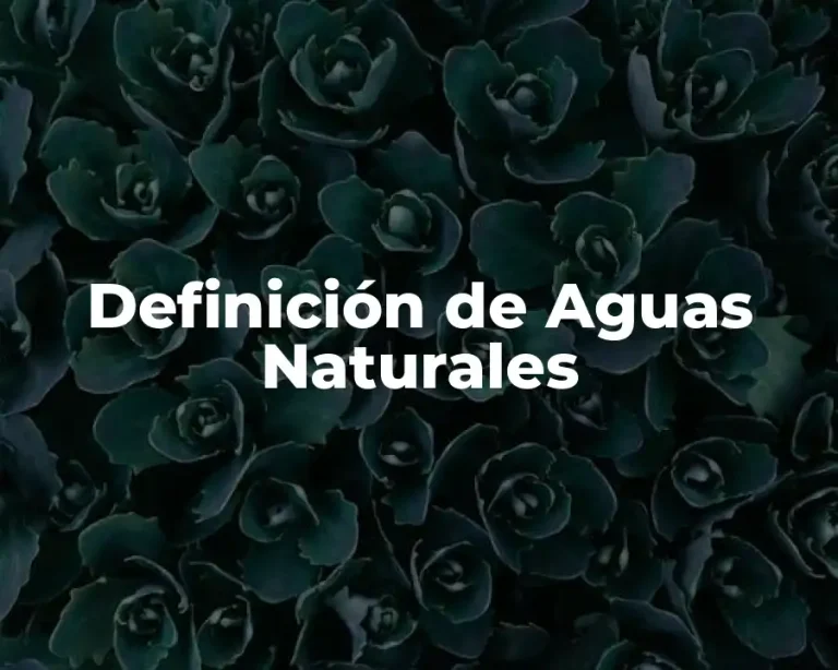 Definición de Aguas Naturales