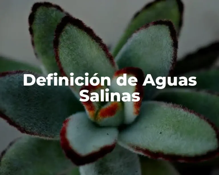Definición de Aguas Salinas