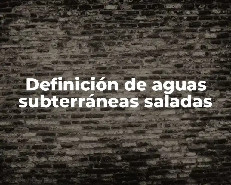 Definición de aguas subterráneas saladas