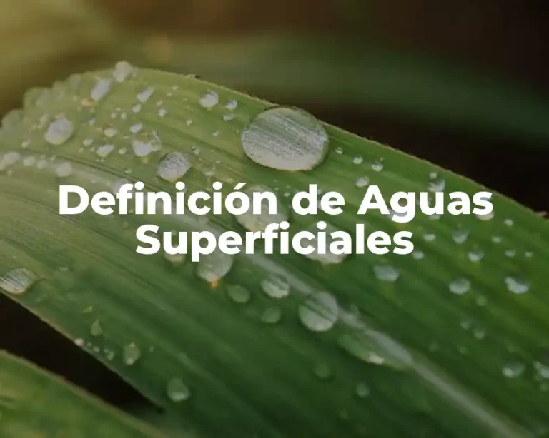 Definición de Aguas Superficiales