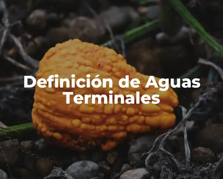 Definición de Aguas Terminales