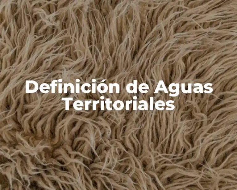Definición de Aguas Territoriales