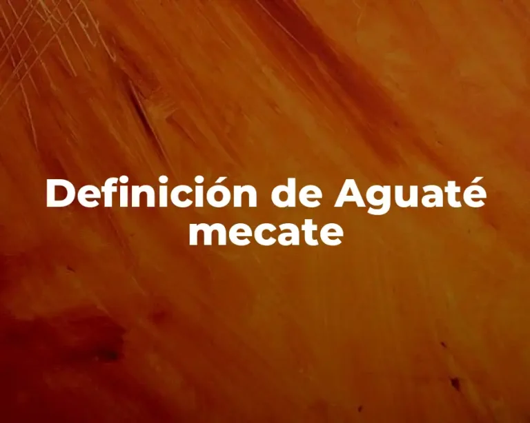 Definición de Aguaté mecate