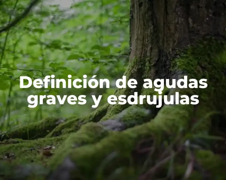 Definición de agudas graves y esdrujulas