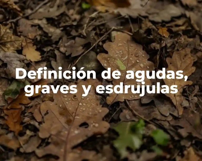 Definición de agudas, graves y esdrujulas