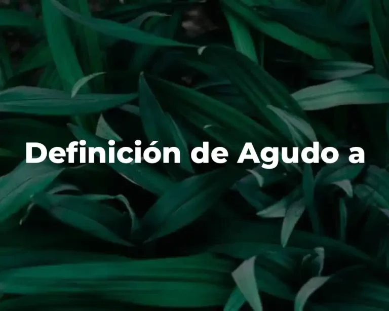 Definición de Agudo a