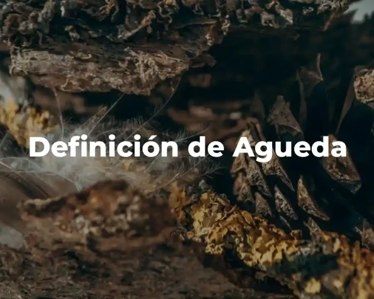 Definición de Agueda