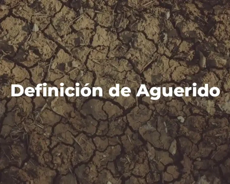 Definición de Aguerido