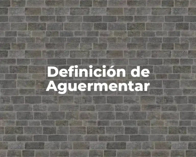 Definición de Aguermentar