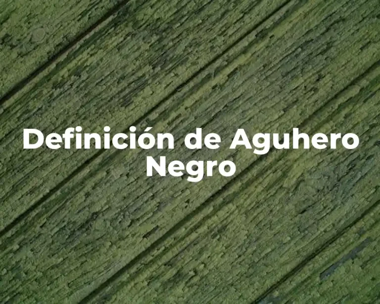 Definición de Aguhero Negro