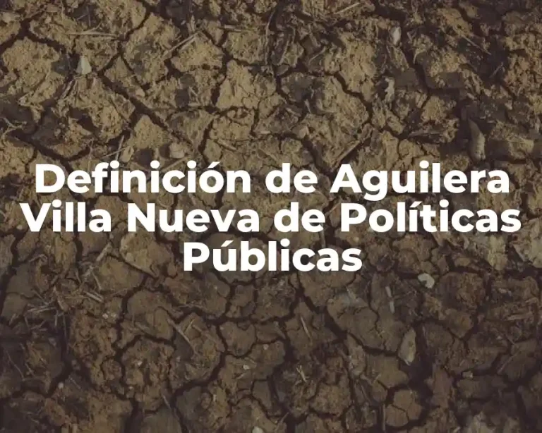 Definición de Aguilera Villa Nueva de Políticas Públicas