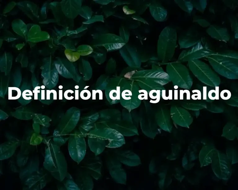 Definición de aguinaldo