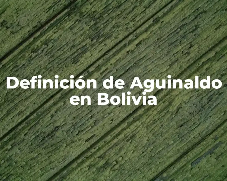 Definición de Aguinaldo en Bolivia