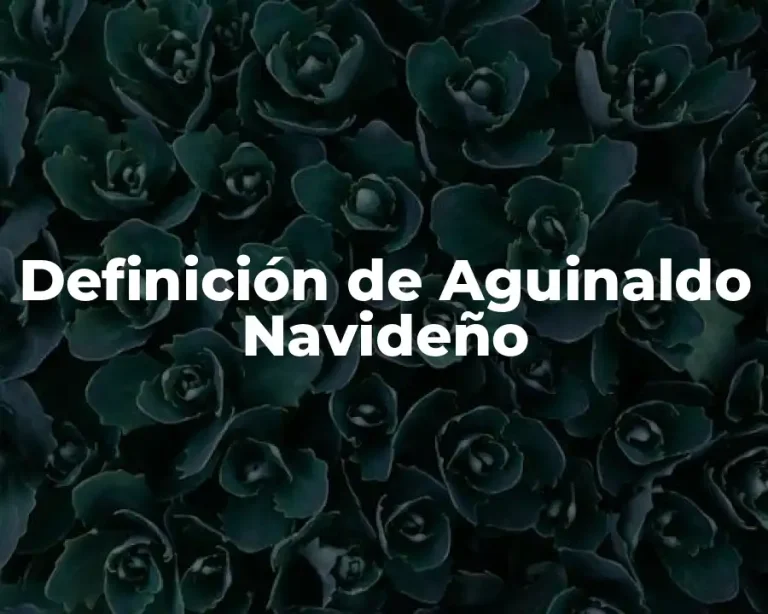 Definición de Aguinaldo Navideño