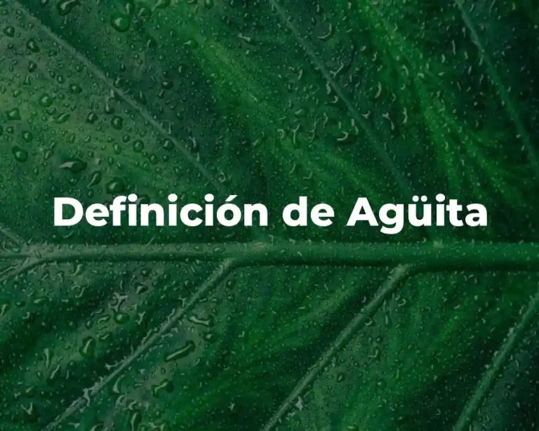 Definición de Agüita