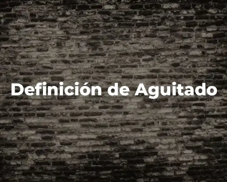 Definición de Aguitado