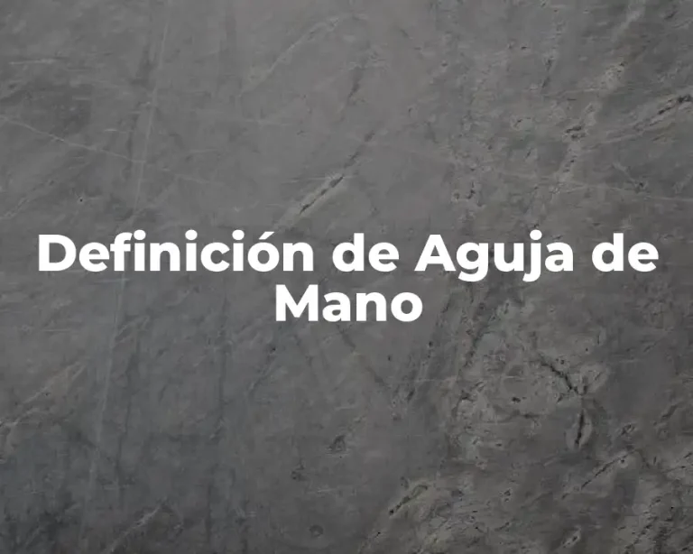 Definición de Aguja de Mano