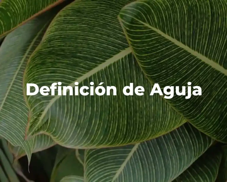 Definición de Aguja