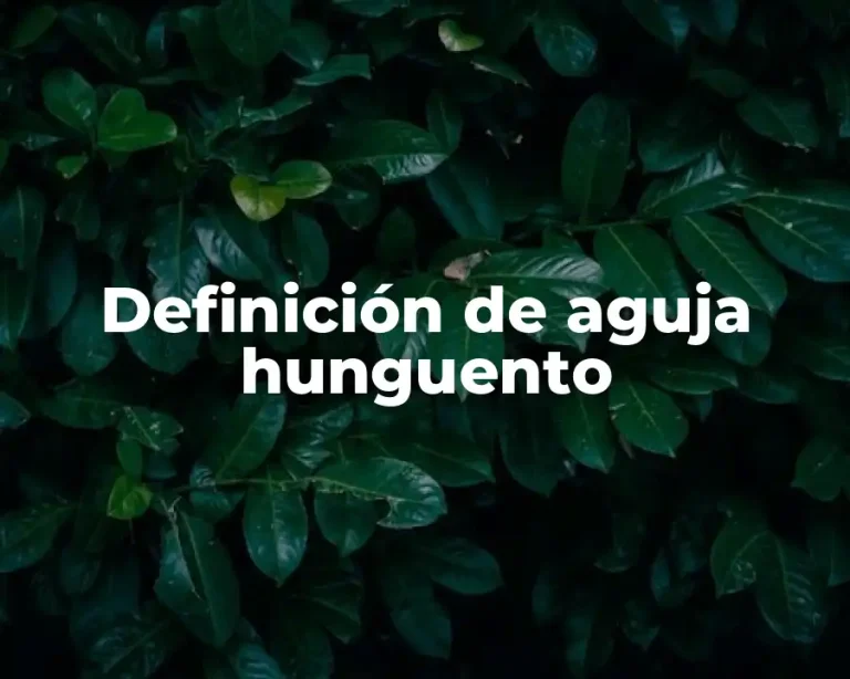 Definición de aguja hunguento