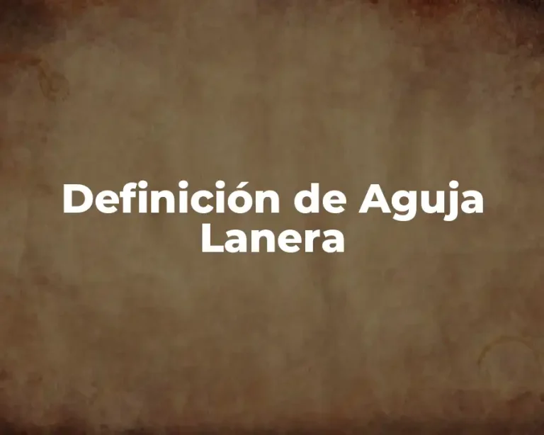 Definición de Aguja Lanera