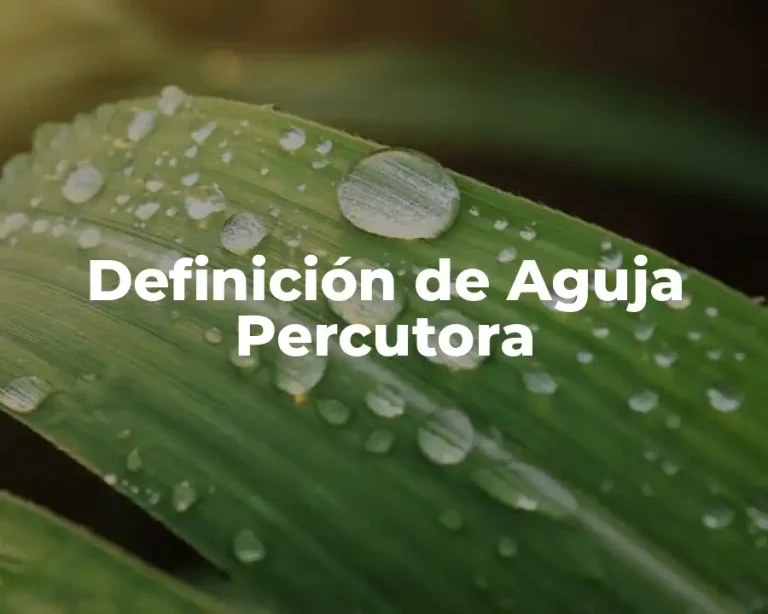 Definición de Aguja Percutora