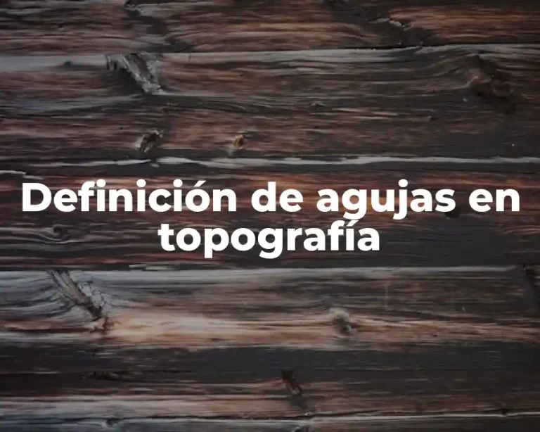 Definición de agujas en topografía
