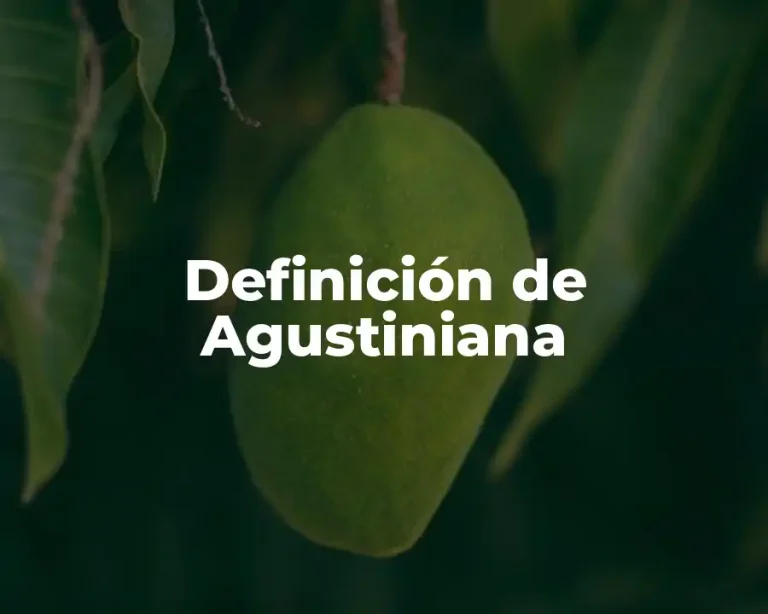 Definición de Agustiniana