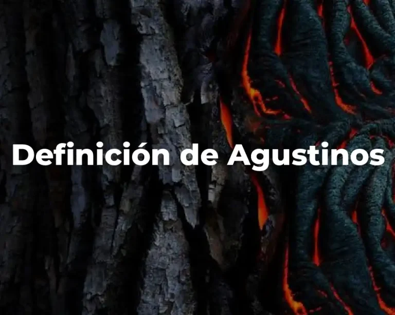 Definición de Agustinos